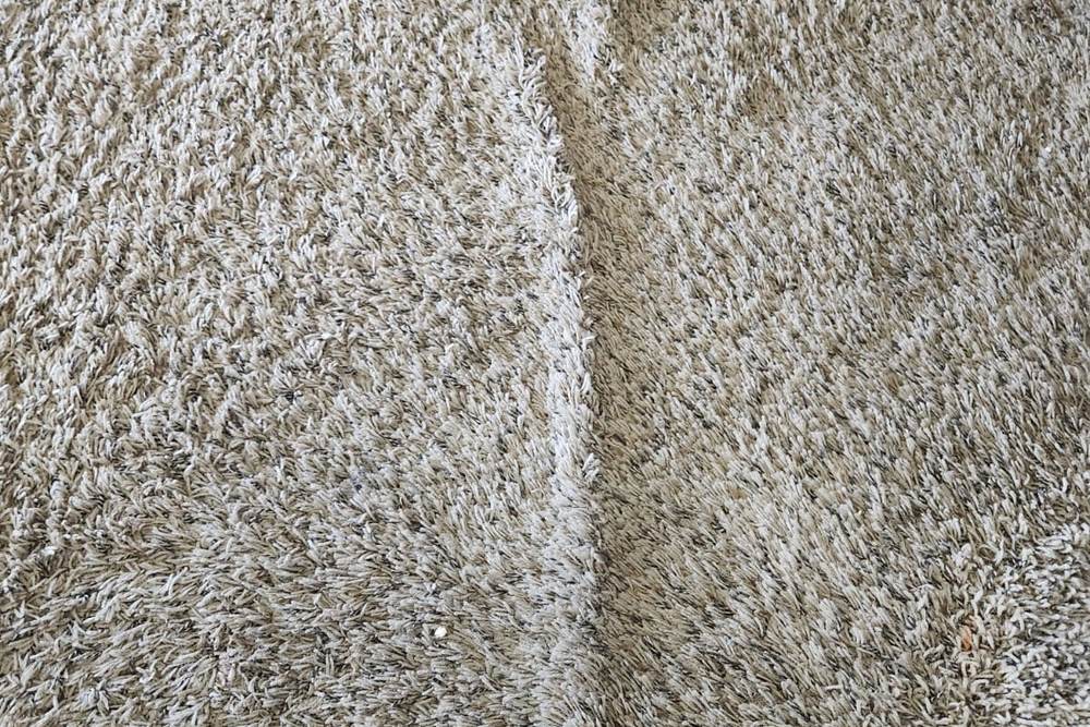 Close-up of a light-coloured carpet part way through cleaning, with the cleaned strip visibly brighter than the surrounding pile