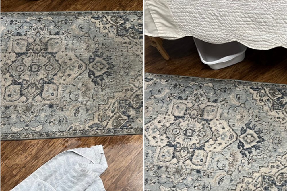 Before and after: a blue and cream patterned area rug on a wood floor, before and after cleaning
